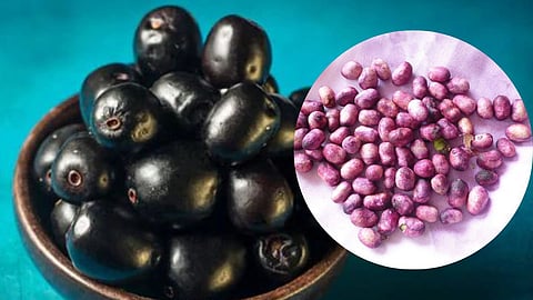 Jamun Seeds Benefits