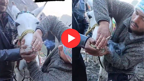 Kedarnath Viral Video