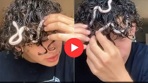 Snake Viral Video