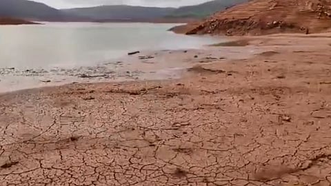 koyna, koyna dam, satara news, karad news