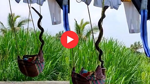 Viral Video