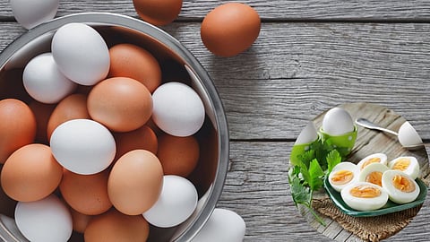 Eggs