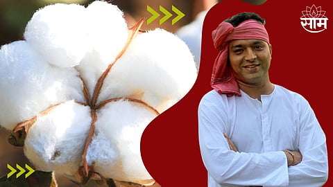 Cotton Price Today Maharashtra