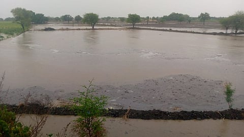 Beed News