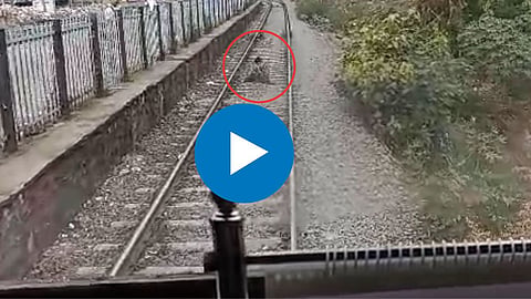 Train Viral Video