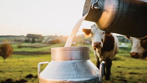 Marathwada Dairy Project