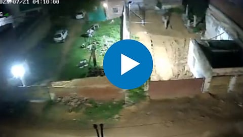 Jaipur Earthquake Viral Videos