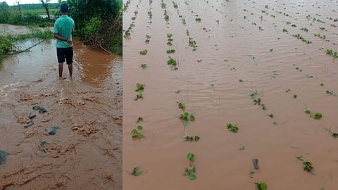 Akola Rain Update