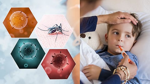 Dengue Symptoms