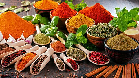 FSSAI Test MDH Everest Spice