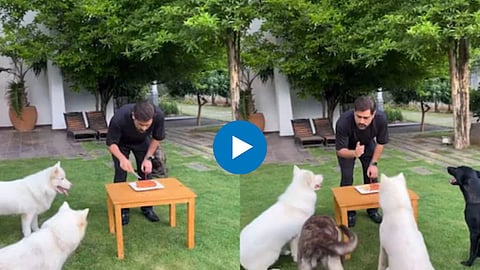MS Dhoni Viral Video