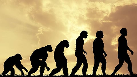 Human Being Able To Walk