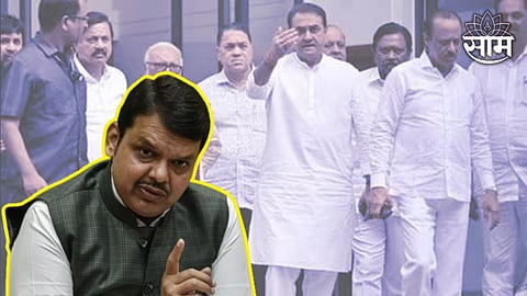 Devendra Fadnavis on Ajit Pawar Group