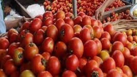 Tomato Theft