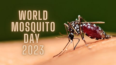 World Mosquito Day 2023