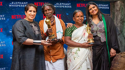 The Elephant Whisperers Bomman and Bellie News
