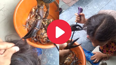 Crab Attack On Girl