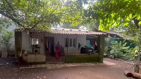 Palghar Dapchari Dairy Project, Palghar News