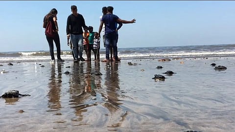 Versova Beach