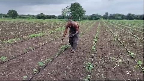 Water crisis in 76 cities of Marathwada crops in crisis due to lack of rain ssd92