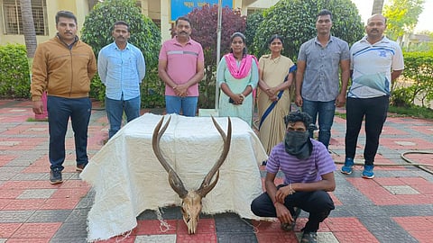 Sangli News
