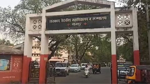 Maharashtra Dengue Report