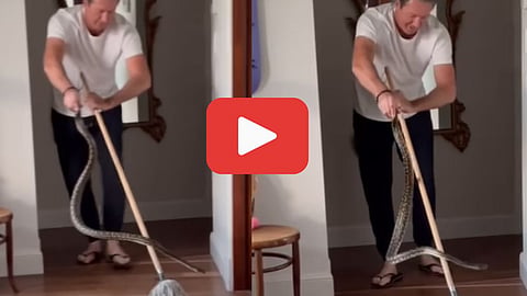 Glenn McGrath Snake Rescue Video