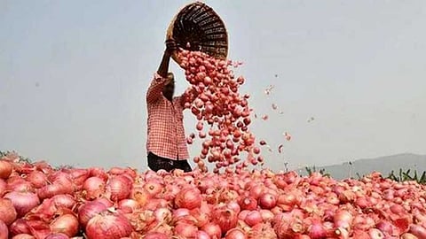 Onion Price