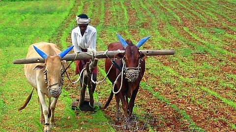 Marathwada Farmers Death Report
