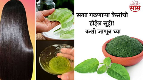 Tulsi Leaves For Hair