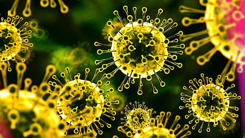 Nipah Virus Symptoms