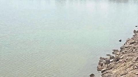 Bardipada Dam