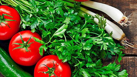 Coriander, tomato price drop, hingoli