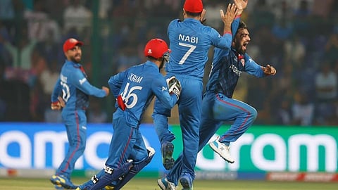 New zealand vs Afghanistan