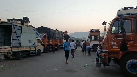 vashi apmc market
