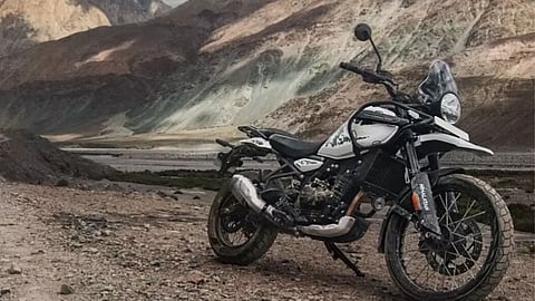 Himalayan 452