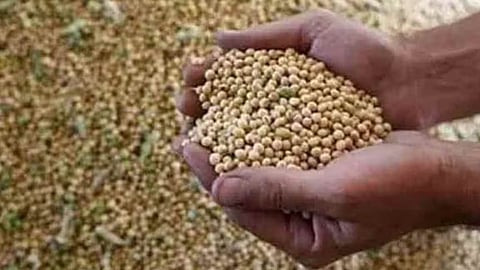 Soybean Price