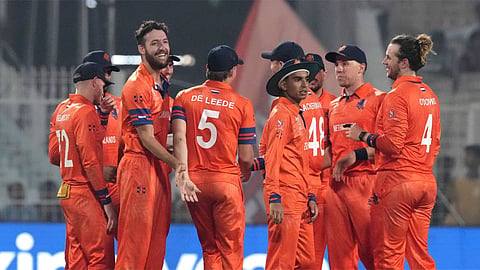 NED vs BAN