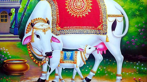 Vasubaras 2024