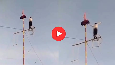 Viral Video: