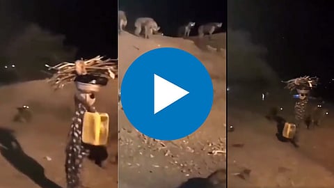 Animal Viral Video