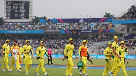 cricket players