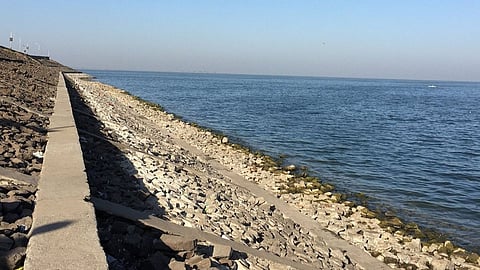 water issue in india : चिंता वाढली; देशातील जलाशयांमधील पाण्याच्या पातळीत मोठी घट, दक्षिणेतील धरणे अर्धे रिकामे