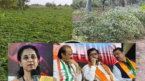 Supriya Sule News : 'वैयक्तिक कामांसाठी दिल्लीची वाट दिसते, पण शेतकऱ्यांना मदतसाठी...'; सुप्रिया सुळेंचा राज्य सरकारवर निशाणा