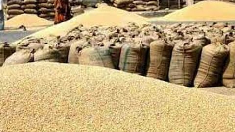 Soyabean Price