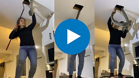 Cobra In Kitchen Ceiling