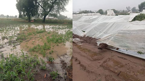 Maharashtra Weather Updates