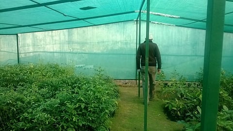 Agriculture News