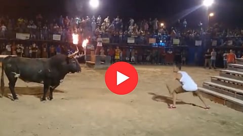 Viral Video