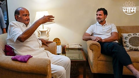 Sharad Pawar and Rahul Gandhi